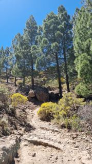 2023-04-GranCan-Roque_Nublo-053.jpg